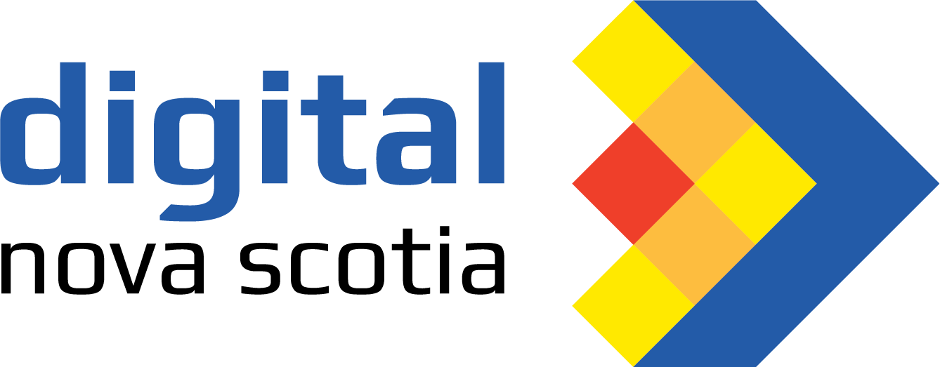 DNS Logo