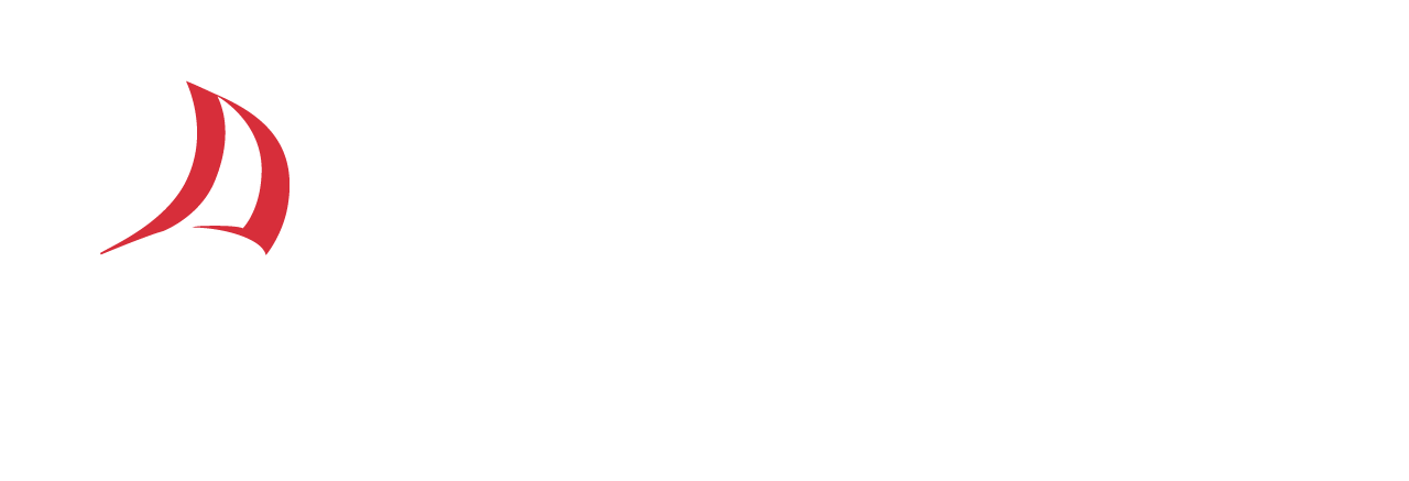 UNB RIDSAI Logo
