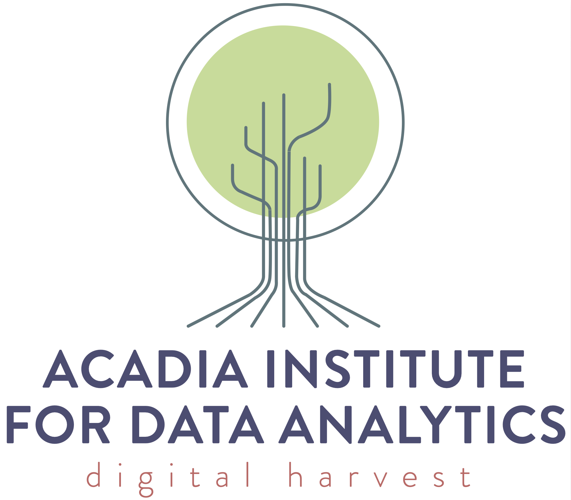 Acadia Institute for Data Analytics
